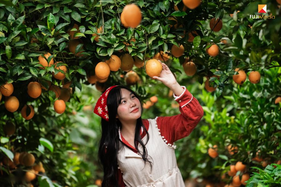 Kinh Nghiệm Chụp Ảnh Ngoại Cảnh Đẹp, Chuyên Nghiệp