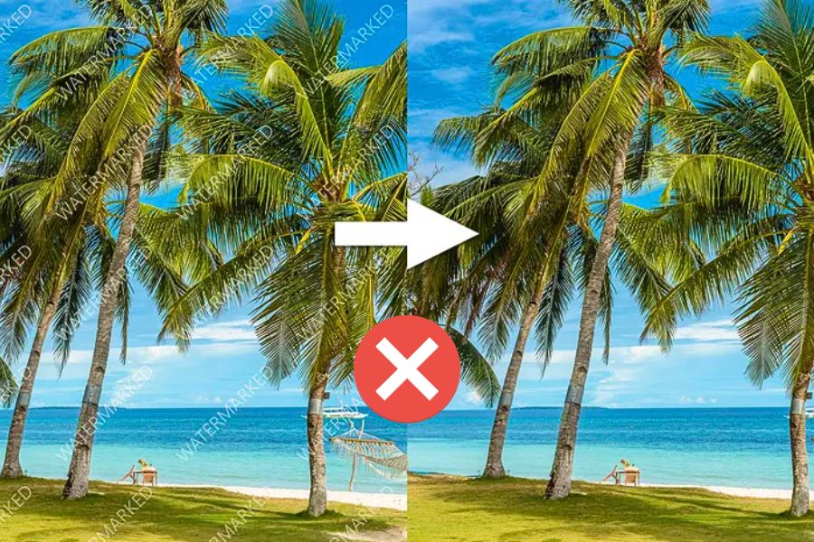 Những Cập Nhật Mới Nhất Trên Facebook Về Nội Dung Nguyên Bản